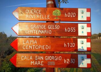 Bari, nuove segnaletiche per il trekking nell’Oasi Mirko Variato: più facili i sentieri per San Giorgio