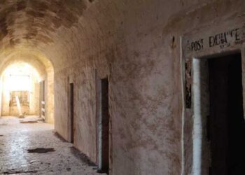 Rutigliano, i segreti dell’ex Convento di Madonna del Palazzo: dal miracolo della pioggia alle truppe di Eisenhower