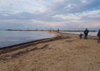 Bari, la bassa marea crea una via di sabbia per i frangiflutti: lo spettacolo a Pane e Pomodoro
