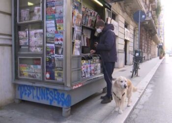 Bari, l’edicola di via De Giosa non verrà rimossa: concessione fino al 2033