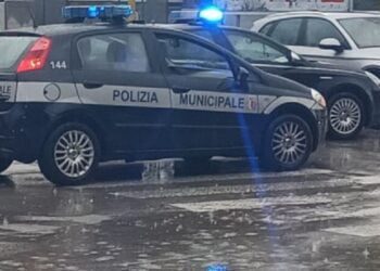Foto repertorio