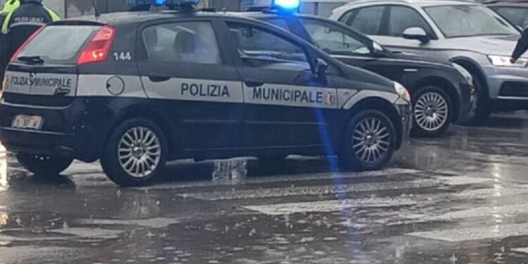 Foto repertorio
