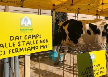 “Putin facciamo la pace”. Agricoltori, pescatori e allevatori in piazza a Bari contro guerra e caro benzina