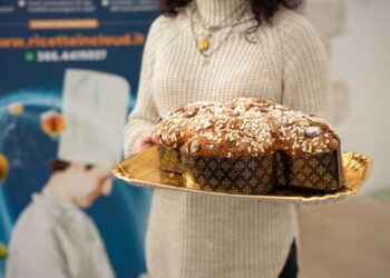 “Divina colomba” artigianale, a Bari in 40 per la sfida finale: il 7 marzo la premiazione dei vincitori