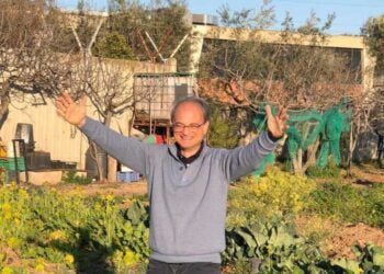 “Il mio terreno gratis alle associazioni per creare un orto”: l’annuncio di Francesco vola sul web