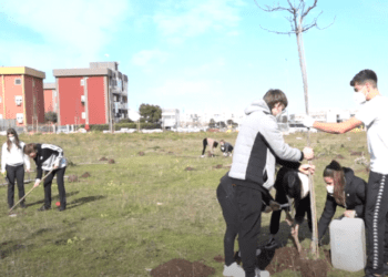 Al San Paolo nasce il ‘bosco del futuro’: studenti e famiglie cureranno l’orto