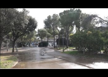 Aggressioni nel parco 2 Giugno, genitori ‘antibulli’ incontrano la prefetta: “Più controlli in tutti i giardini”