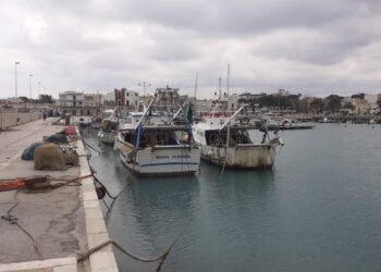 Caro gasolio, pescherecci fermi nei porti: marinai in protesta anche a Bari. “Così è impossibile”