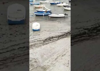Torre a Mare, il porto è invaso dalla sabbia: barche arenate e banchine inarrivabili