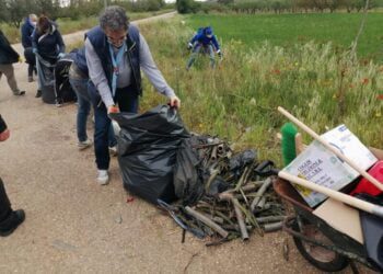 Pulizia dell'agro a Casamassima