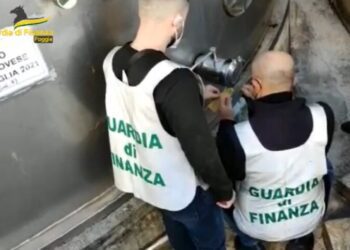 Vendevano falso vino Igp, giro d’affari da due milioni e mezzo di euro: 14 denunce nel Foggiano