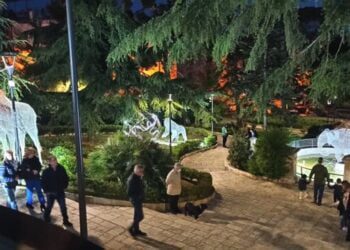 Uno zoo luminoso nel centro di Conversano: fino a giugno il ‘Lumen Spring Fest’ – FOTO