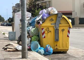 Cassonetti stracolmi di ogni tipo di rifiuto