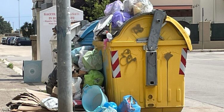 Cassonetti stracolmi di ogni tipo di rifiuto