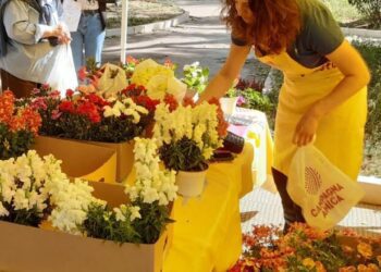 Festa della Mamma, il 54% dei pugliesi ha regalato fiori: ecco i consigli di Coldiretti per conservarli