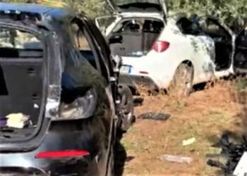 Auto rubate e cannibalizzate, trovati 10 mezzi a Bitonto: i furti anche a Bari, Giovinazzo e Palo