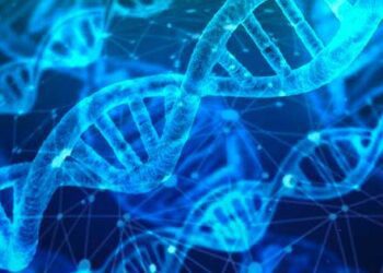 DNA