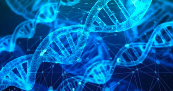DNA