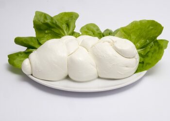 Gioia del Colle è “Città del formaggio 2022” grazie alla sua mozzarella DOP
