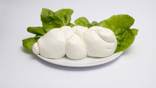 Mozzarella Gioia del Colle DOP