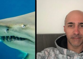 Squalo toro attacca kayak a Castellaneta Marina, il racconto di Giuseppe: “Un incubo, era ferocissimo”