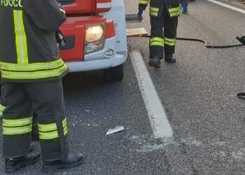 Statale 172, frontale all’alba tra Turi e Casamassima: morta donna di 66 anni. Cinque feriti