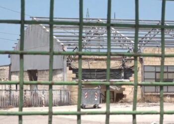 Dalle ex Officine Calabrese alla Manifattura: ecco quali sono le Zone Economiche Speciali a Bari
