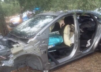 Scoperte auto cannibalizzate nelle campagne di Terlizzi: erano state rubate a Bari e Giovinazzo