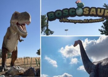 Altamura, riecco il Boscosauro: partita la stagione estiva del parco. Attrazioni per grandi e piccoli visitatori