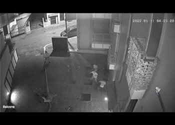 Notte di follia a Santeramo, violenta rissa con pugni e bastonate – IL VIDEO shock