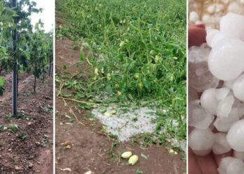 Tempeste d’acqua e vento, trombe d’aria e grandinate: in Puglia 13 ‘eventi estremi’ in 24 ore