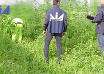 Da Cerignola a Bisceglie, da Bari a Oria: maxi operazione anti droga. Undici arresti tra Puglia e Albania