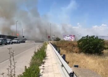 Bari, incendio a Santa Caterina: bruciano sterpaglie. Strade bloccate e disagi