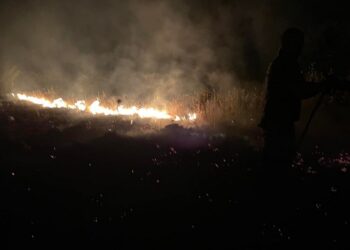 Incendi, da 30 ore brucia il bosco di Minervino: canadair da Ciampino per portare acqua