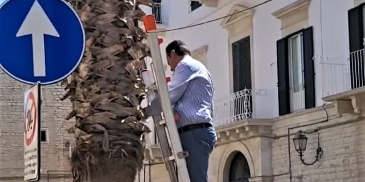 Consigliere Comunaleterlizzi