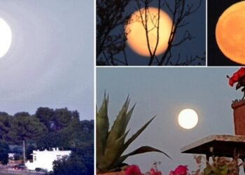 Luna Evidenza