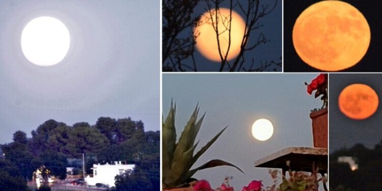 Luna Evidenza