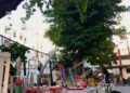 Evento Fluidi 6