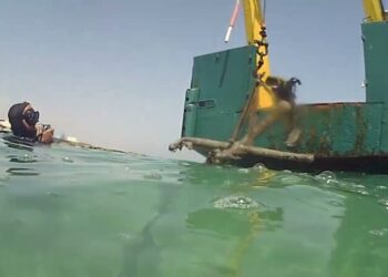 Torre a mare, spunta un’ancora degli anni Trenta: “Usata per addestramento degli idrovolanti militari” – VIDEO