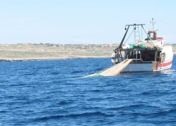 Teschio umano finisce nella rete dei pescatori: è mistero a Molfetta