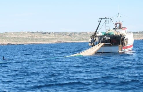 Pesca a strascico