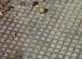 301247070 1696966704016810 4214586723439837284 N