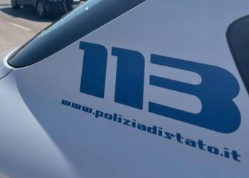 Polizia 113