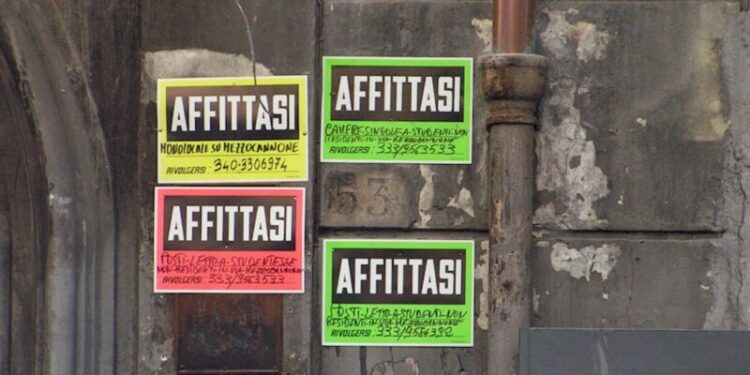 Affittasi