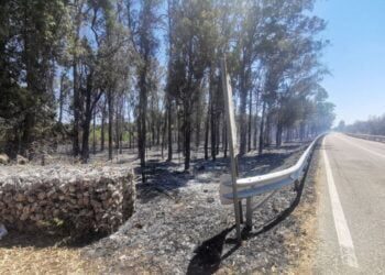 Incendio Bosco Lecce