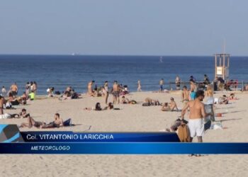 Laricchia