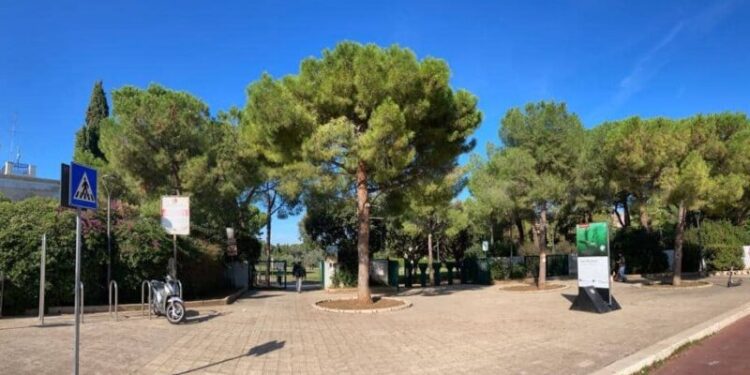 Parco 2 Giugno