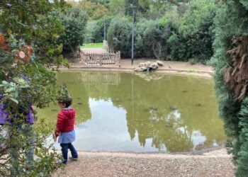 Parco 2 Giugno Laghetto