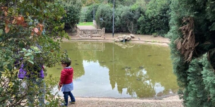 Parco 2 Giugno Laghetto