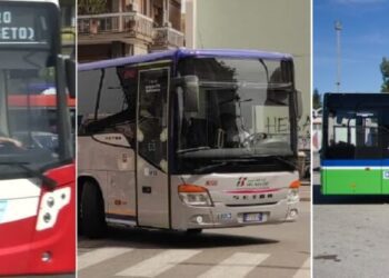 Bus Amtab Fse Fal